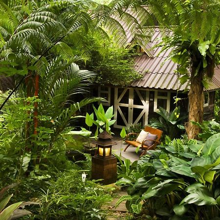 Rain Forest Resort Ban Pak Yang Buitenkant foto